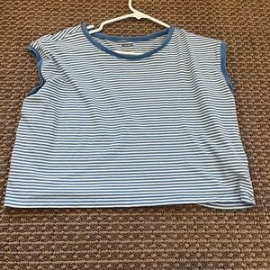 Madewell Blue and White Striped Muscle Tee
